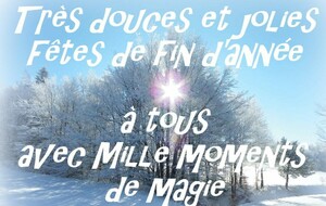 Bonnes fêtes de fin d'année à tous