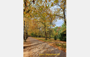 Balade automnale avec Geotopia