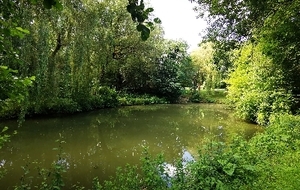 rando MARLES les mines