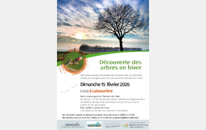 Découverte des arbres en hiver animation Geotopia