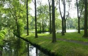 Rando Bethune - marais d'Annezin