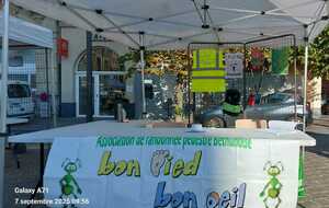 Forum des associations