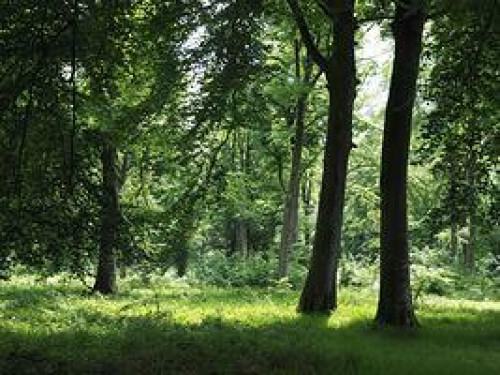 Sortie à la journée sur CRECY EN PONTHIEU