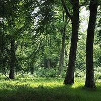 Sortie à la journée sur CRECY EN PONTHIEU