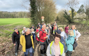 Rando bois des dames mardi 10 mars 26