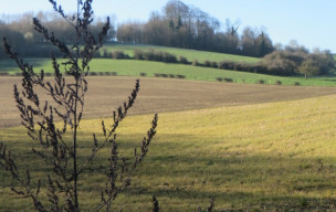 rando DIEVAL dimanche 15 mars 26