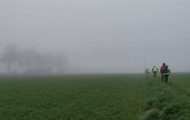 Mazinghem dimanche 8 mars 2026